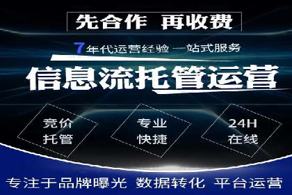 百度竞价排名实战：某电商平台的成功之路